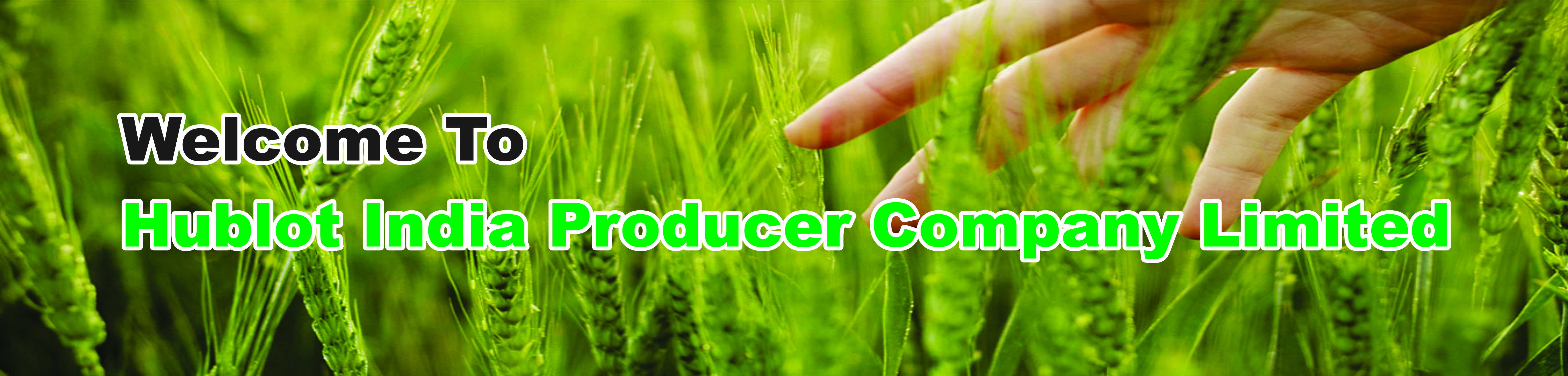 Producer Company